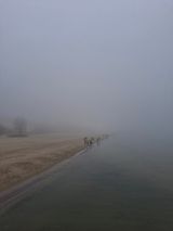 Foto pengguna janek21311