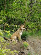 Фото користувача essolgadalf