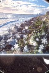 Benutzerfoto lucky19875