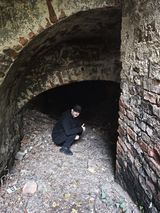 Benutzerfoto gaskastanislaw