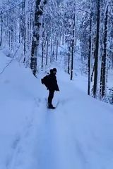 Benutzerfoto denysssk