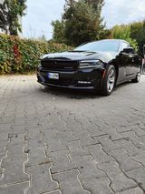 Фотография пользователяCezary9595