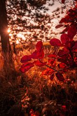 Foto pengguna Arek1987