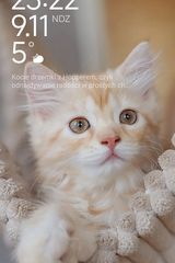 Фотография пользователя PatrykFlakes