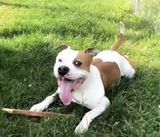 Фотография пользователя Kubanczyk3