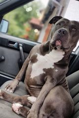 Фотография пользователя pt85