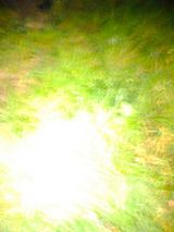 Benutzerfoto artekpery866