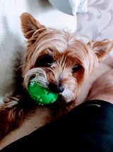 Foto pengguna dareq2