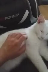 Фото користувача MateuszKamil1988