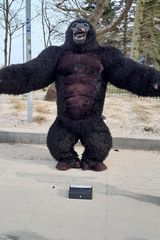 Фотография пользователя robertzielinski384