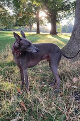 Фотография пользователя blackwhitecat