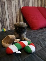 Фотография пользователя MaluskiD