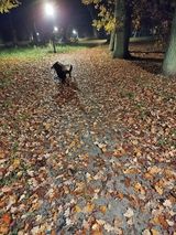 Фотография пользователя MagdalenaDwr