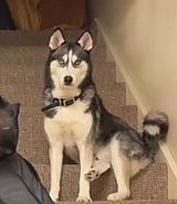 Фотография пользователя jan33339