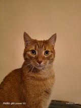 Фотография пользователя DOMELcsm