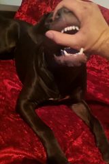 Фотография пользователя Tomaszbgt