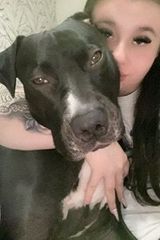 Фотография пользователя Inez567