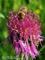 Фотография пользователя Kamilek933