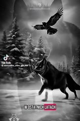 Фотография пользователя littgreg273