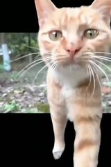 Фотография пользователя piotrek6610