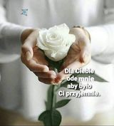 Фотография пользователя zkamraj