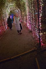 Фотография пользователя kasiula054