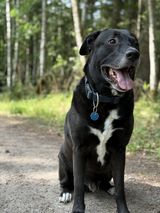 Фотография пользователя Chris