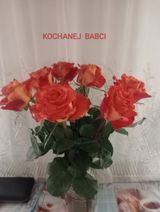 Фотография пользователя kasiakasika2