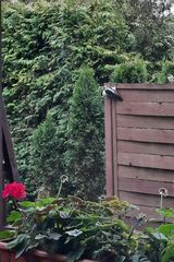 Фотография пользователя KrzysztofMurawski