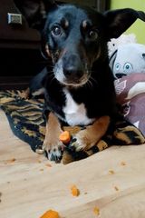 Фотография пользователя OsiedloweWlkp