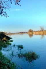 Фотография пользователя denis569