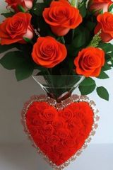 Фотография пользователя erickjames3