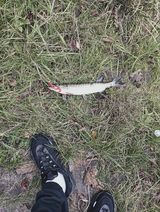 Foto pengguna NikiMikiiii22