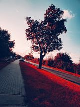 Foto pengguna Lobuzek69