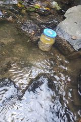 Фотография пользователя DebickiGr