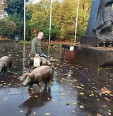 Фотография пользователя zzielinski118