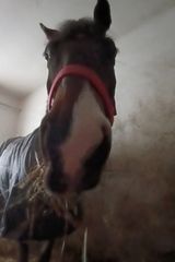 Фотография пользователя Rademenes1980