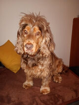 Фото користувача jaworskajolanta6