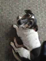 Фотография пользователя pastusiakkatarzy75