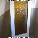 Фотография пользователя XjnikiiO