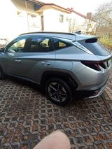 Фотография пользователя dawidbobek702