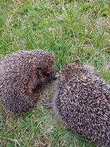 Фотография пользователя czarny7619