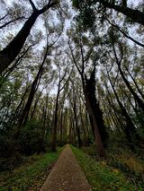 Фотография пользователя ZdRLukasz