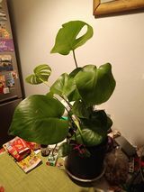 Фотография пользователя edytazyl4