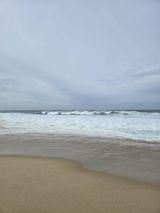 Фотография пользователя dzikielf