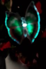 Фотография пользователя JuriD