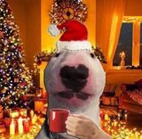 Фотография пользователя Kubuuus67