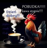 Фотография пользователя grzegorzwppl1954