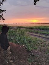 Фотография пользователя dimasagulenko4