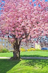 Фотография пользователя Bartek7308